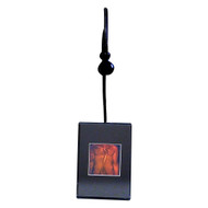 Torso 2-Channel Anotomically Correct Hologram Picture (LIGHTED DESK STAND), Collectible Hologram Picture