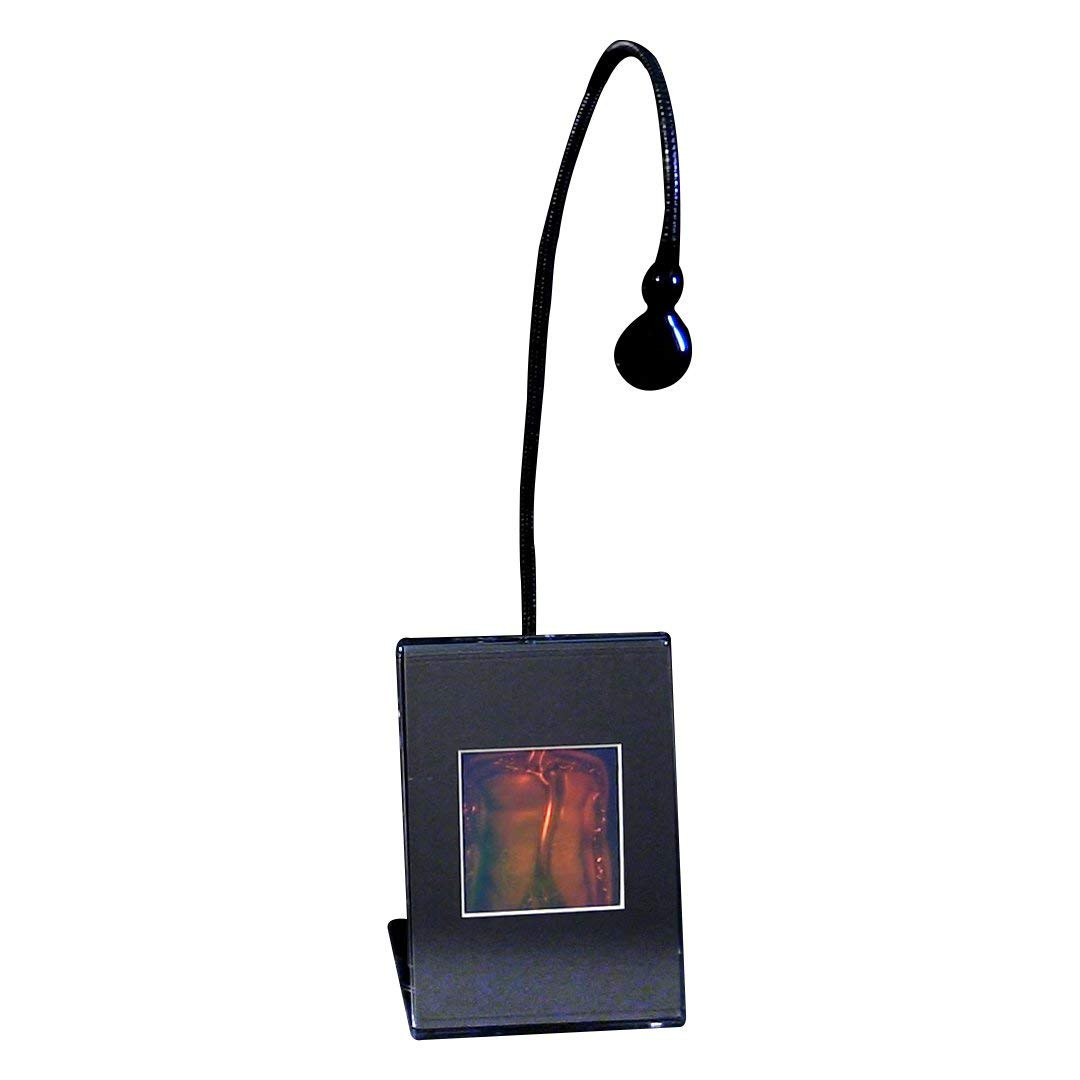 Collectible Hologram Picture Torso 2-Channel Anotomically Correct Hologram Picture Lighted Desk Stand