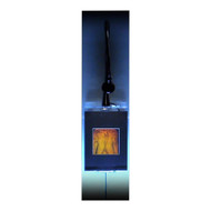 Torso 2-Channel Anotomically Correct Hologram Picture (LIGHTED WALL DISPLAY), Collectible Hologram Picture