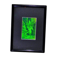 3D X-Men Wolverine 2-Channel Hologram Picture (FRAMED), Collectible Photopolymer Type Film