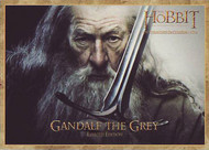 2012 Dennys Hobbit: An Unexpected Journey Set (16)