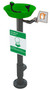 A photograph of a green Guardian G1896GRN pedestal-mounted all-PVC eyewash.