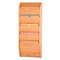 Picture of light oak privacy 5 pocket file/chart holder.  Files not included.
