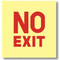 Picture of the Sign, No Exit, Glow in the Dark, self-adhesive vinyl.