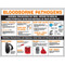 Picture of bloodborne pathogen poster.