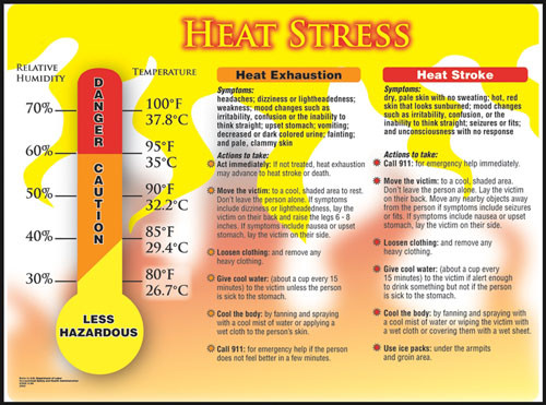 Picture of heat stress poster.