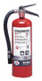 A photograph of a Badger 5.5 pound Extra Regular dry chemical fire extinguisher.