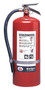 A photograph of a Badger 20 pound Extra Regular dry chemical fire extinguisher.