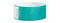 Picture of a green, 1" wide Tamper-Resistant Tyvek® Wrist Band w/ Serial Numbering.