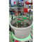 Photograph of a Scilogex LCD Digital Magnetic Stirring Bath in use.  Four samples with condensers are clamped in the bath.