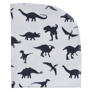 Organic Blanket - dinosaurs