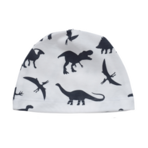 Beanie - dinosaurs