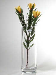 cylinder vase height 40cm