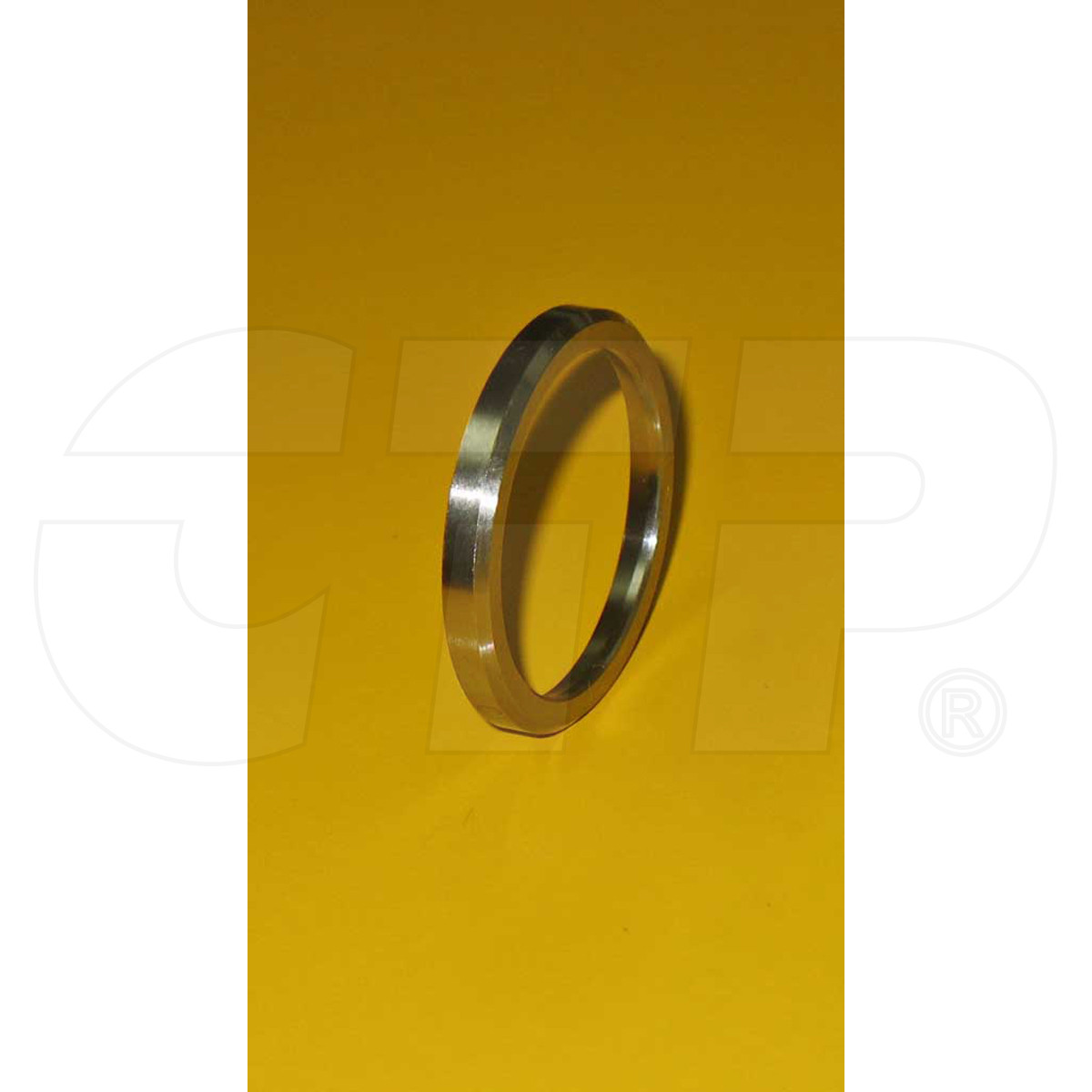 1039252 Insert, Valve Seat AMT Equipment Parts Equipment