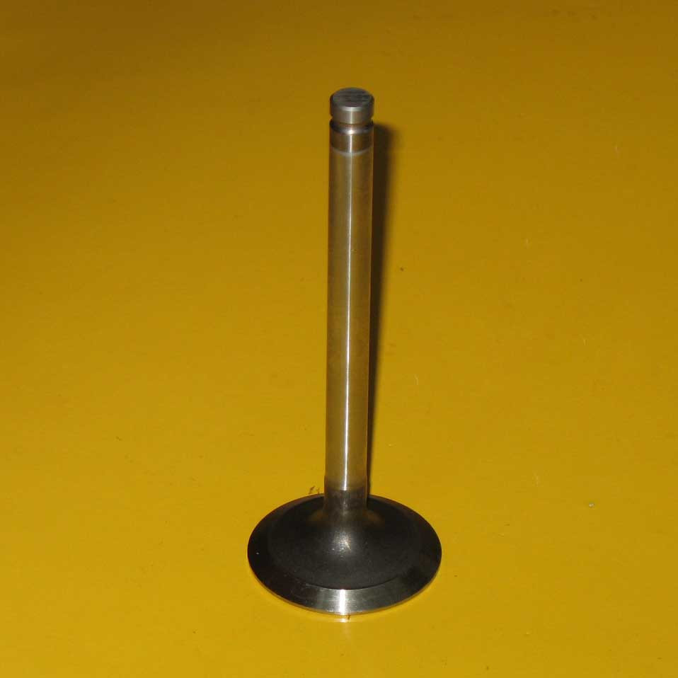 1004626 Intake Valve AMT Equipment Parts Equipment Replacement Parts
