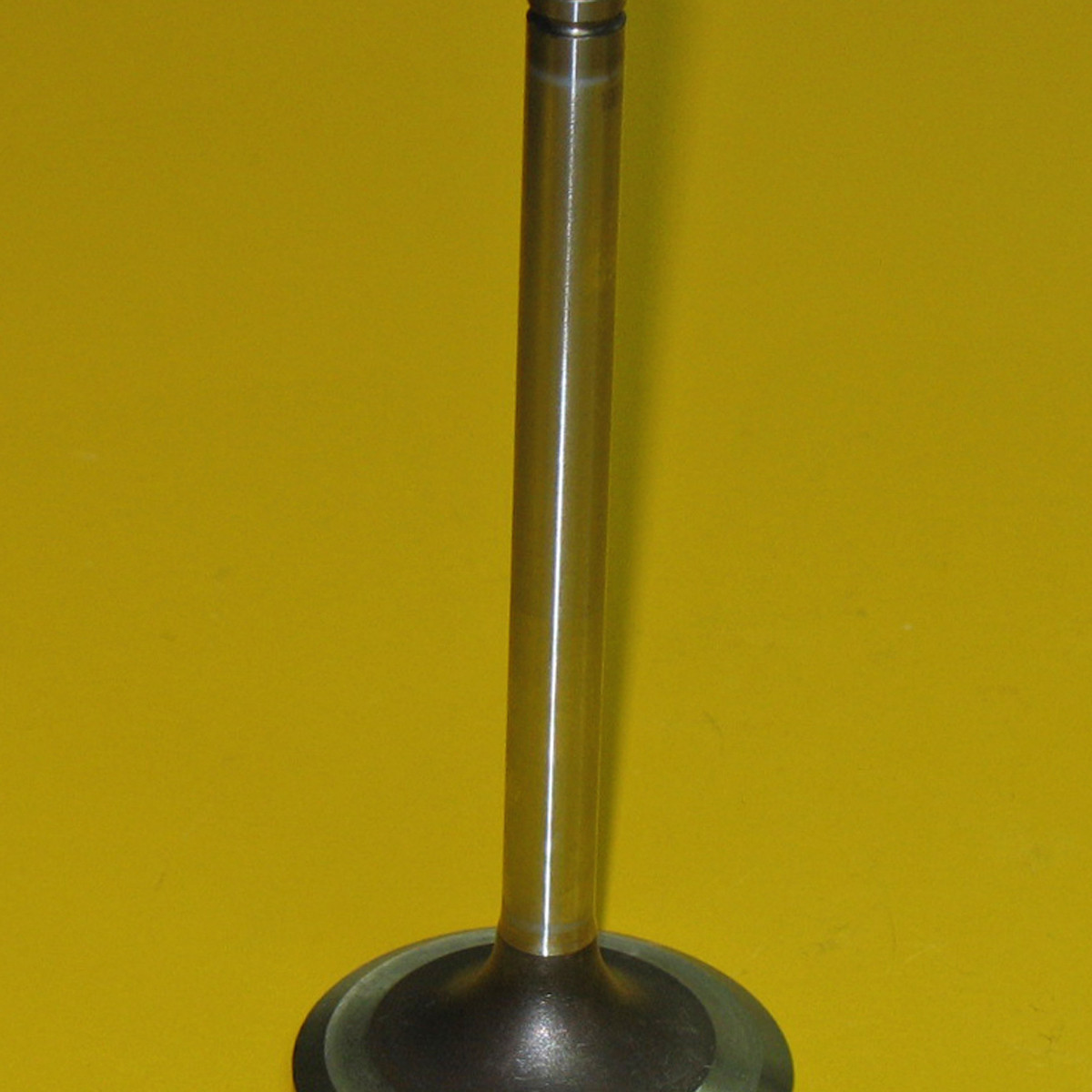 1007860 Intake Valve AMT Equipment Parts Equipment Replacement Parts