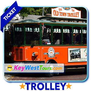 Old Town Trolley Tours 1-Day (Adult)