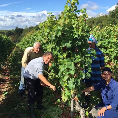 Crémant de Bordeaux 2016