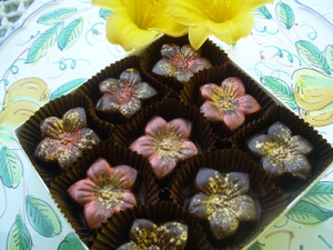 Our dark chocolate tiger lily's are will with 3 flavors of Salted Caramel all made with Fleur de Sel from Brittany France: Toasted Almond, Sicilian Pistachio,  Pure Salted Caramel