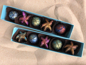 Seaside Collection 5-piece box