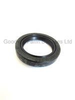 Gearbox Input Seal  - W100