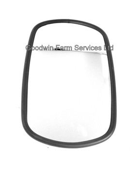 Mirror (Convex) - W456