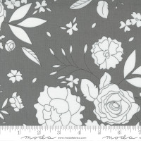 Moda Fabric - Wide Backing - Beautiful Day - Corey Yoder - Slate #108000 24