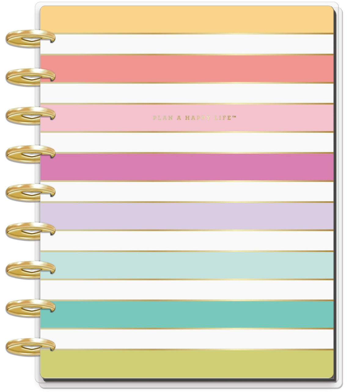 Me And My Big Ideas 2020 Deluxe Classic Happy Planner Planner Babe 12 Months Stripe Dated Vertical Carefullycrafted