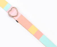 The Happy Planner - Me and My Big Ideas - Color Blocked Planner Purse Strap