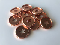 Plastic Planner Discs - Small (28mm) - Rose Gold - Stars - Set of 11