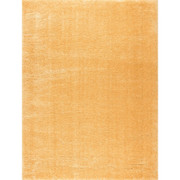 Prada Gold Rug-160/220