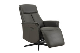Riya Ash Electric Reclining Accent Chair