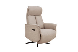 Riya Mushroom Electric Reclining Accent Chair