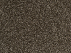 The Noble Collection Carpet- Noble Steed Brown 865