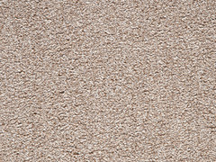Noble Heathers Carpet- Night Jar 695