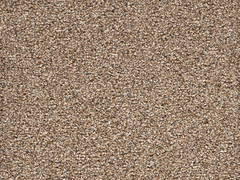 Noble Heathers Carpet- Seal Brown 875