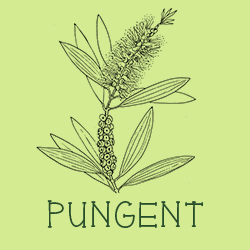 Pungent scent profiles