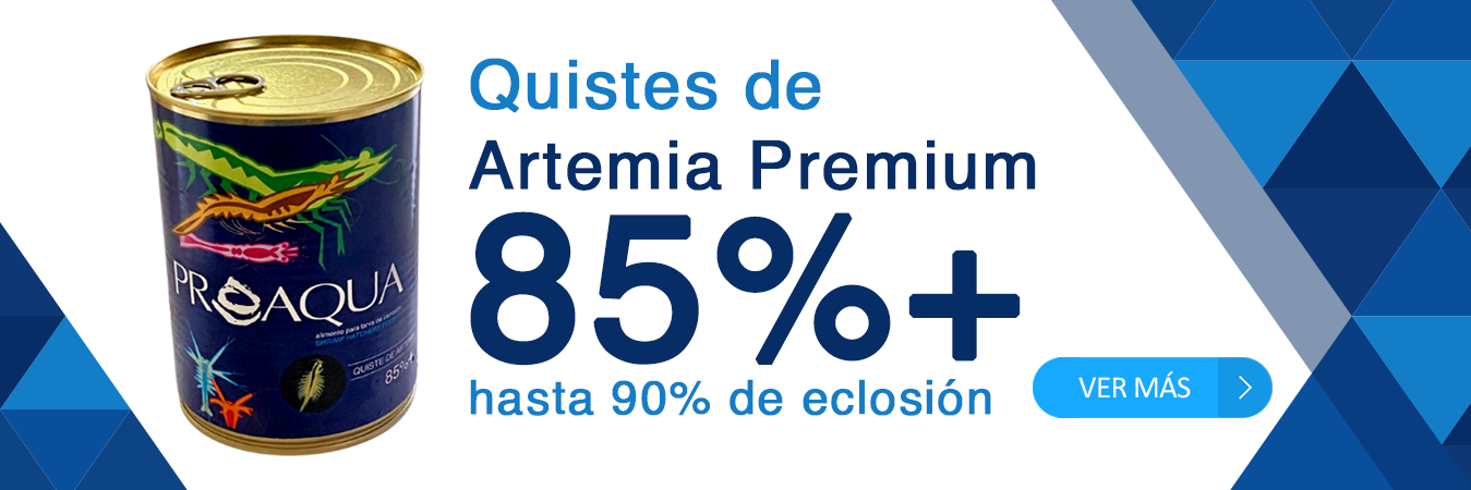 Quistes de artemia premium 85%+ hasta 90% de eclosión