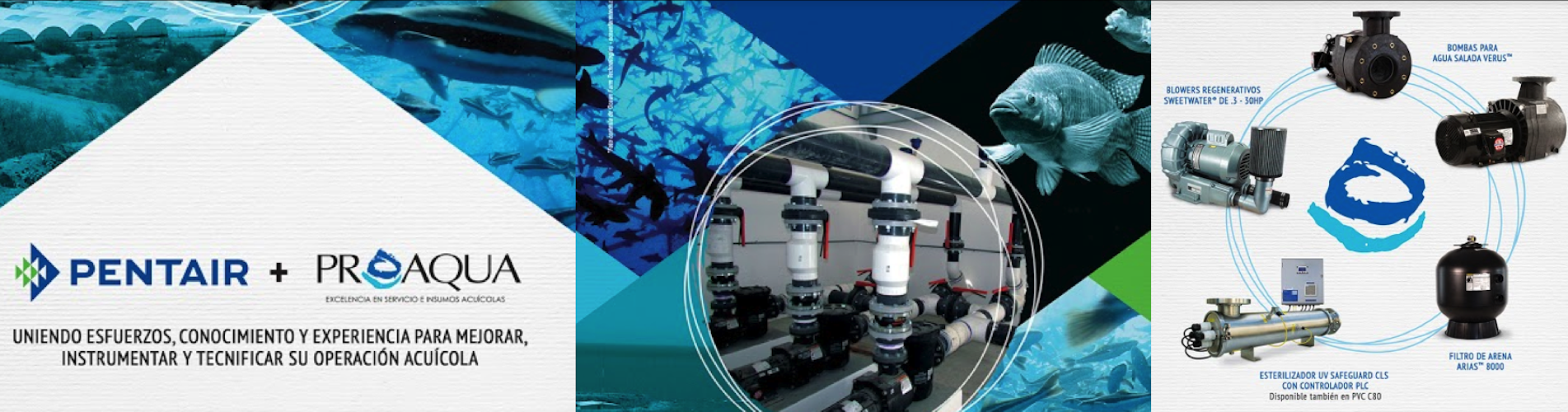 Pentair Aquatic Eco Systems AES En M xico mike-holt-circuit-sizing-air-conditioning-mike-holt-circuit-sizing