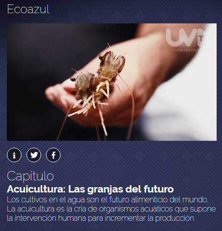 Ecoazul - Acuicultura: Las granjas del futuro