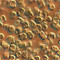 Thalassiosira weissflogii es una diatomea (6-20 μm x 8-15 μm) que se utiliza en camarones y en la producción de larvicultura de bivalvos. Esta alga es considerada por varias incubadoras como la mejor para el camarón larvario.