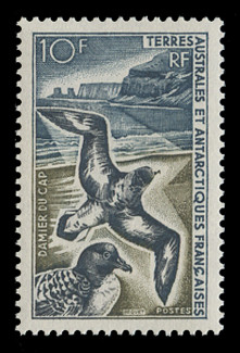 FSAT Scott #  26, 1966-9  10fr Cape Pigeons