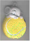 A-505 Mouse on Tennis Ball