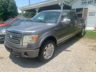 2010 Ford F150 Platinum