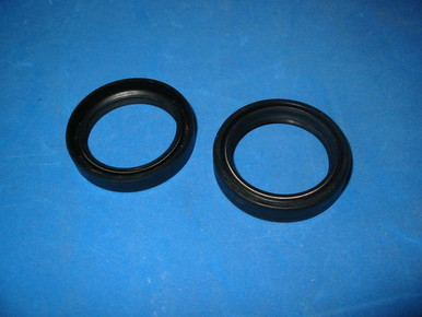 gs500 fork seal