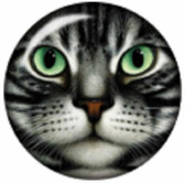 Gray Tabby Cat Face with Green Eyes Snap Jewelry Charm, 18mm