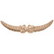 ONL20X05X01KELW - Wood Onlay - Lindenwood ONL20X05X01KELW - Wood Onlay - Lindenwood