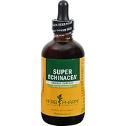 Super Echinacea Extract 4 Oz