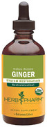 Ginger Extract  4 Oz