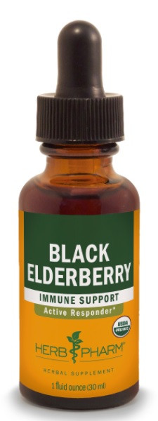Black Elderberry Extract 1 Oz